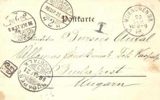 1898 München, Ruhmeshalle und Bavaria, floral litho