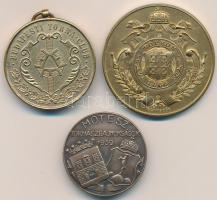 DN "Budapesti Torna-Club" aranyozott fém emlékérem (33mm) + 1939. "MOTESZ (Magyarországi Testedző Egyesületek Szövetsége) Tornászbajnokságok 1939" Br jelvény (30mm) + Schwerák József(1897- ) 1941. "Soproni Torna Egyesület 75 éves jubileuma"  aranyozott fém emlékérem (40mm) T:2