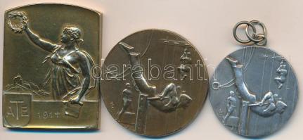 1914. "ATE" Br emlékplakett (41x32mm) + DN "F.V.S.K." Br sportérem (35mm) + DN "F.V.S.K." Ag sportérem (30mm) T:2,2-