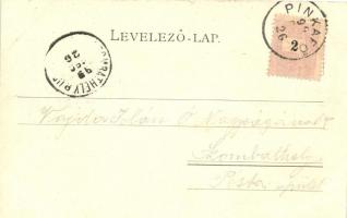 1899 Pinkafő, Pinkafeld; Vásártér, Marktplatz, Verlag Carl Strobl / market place