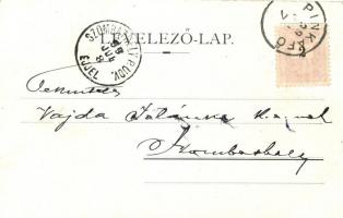 1899 Pinkafő, Pinkafeld; Bürgerschule, Kirche, Kloster, Hauptplatz / school, church, main squre; flo...