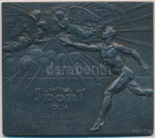 Nemes György (1885-1958) / Manno Miltiadesz (1879-1935) / Ludvig Bp. 1943. "Nemzeti Sport Díja az első levente bajnokságra" fém plakett (68x80mm) T:2