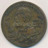 Románia 1891. "I. Károly uralkodásának 25. évfordulója" Br emlékérem T:2-,3 Romania 1891. "25th anniversary of the reign of Carol I" bronze medallion C:aVF,F