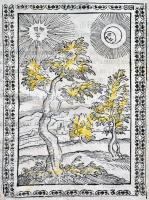 Bussato [Bussatti] da Ravenna, Marco: Giardino di agricoltura. Venezia, 1592, Giovanni Fiorina. Olas...