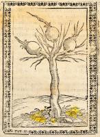 Bussato [Bussatti] da Ravenna, Marco: Giardino di agricoltura. Venezia, 1592, Giovanni Fiorina. Olas...