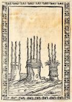 Bussato [Bussatti] da Ravenna, Marco: Giardino di agricoltura. Venezia, 1592, Giovanni Fiorina. Olas...