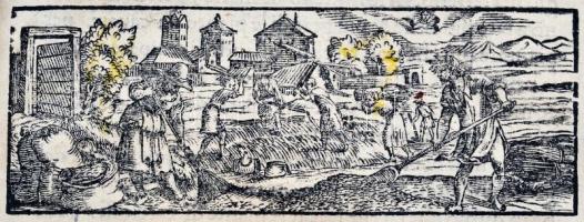 Bussato [Bussatti] da Ravenna, Marco: Giardino di agricoltura. Venezia, 1592, Giovanni Fiorina. Olas...