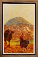 cca 1930 Ahol Jézus járt. kiadja Szentföld Magyarországi Biztosi Hivatala. 20 képet tartalmazó füzet