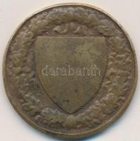 Berán Lajos (1882-1943) DN "Budapesti (Budai) Torna Egylet 1869 - Botond" Br díjérem T:2