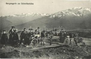 Schmittenhöhe, Bergwagerln / alpine carriage