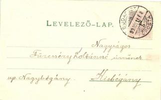 1899 Sleighing children, litho