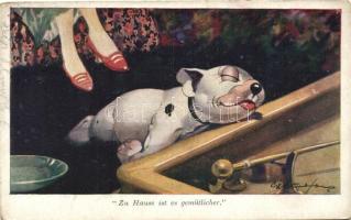Bonzo dog s: G. E. Studdy (pinhole)