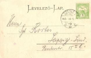 Cegléd, Kossuth-szobor, floral; kiadja Sebők Béla s: E. Ernst