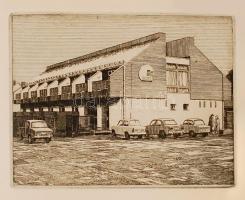 Heves megye építése. 4 nyelvű propaganda kiadvány 12 rézkarccal szőtt borítóval