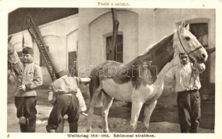 Festik a szürkét / Military WWI, horse painting