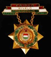 ~1960 "Faipar kiváló dolgozója" aranyozott kitüntetés, eredeti dísztokjában. T:2