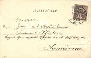 Debrecen, Látkép zsinagógával; kiadja Telegdi K. Lajos (EK)