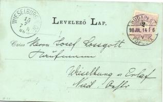 1898 Debrecen, Református főiskola, piac; floral