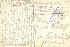 Nyíregyháza, Vasútállomás, Sóstó-Gyógyfürdő megállóhely, taligás; Levelezőlap Király kiadása