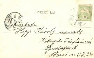 Nagykáta, Városháza; Faragó Lajos kiadása