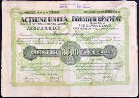 Románia / Arad 1923. "Mezőgazdák Kereskedelmi Részvénytársaság" egyesített részvénye 3000L-ről szelvényekkel T:III Romania / Arad 1923. "Commercial Agriculture Company" combined share about 3000 Lei with coupons C:F