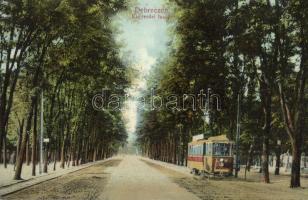 Debrecen, Nagyerdei fasor, villamos
