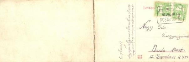 Gyula, József Szanatórium, panoramacard