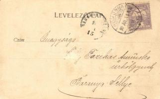 Homonna, Andrássy-kastély, polgári iskola, Fő utca; Polányi Dezső felvétele / castle, school, main s...