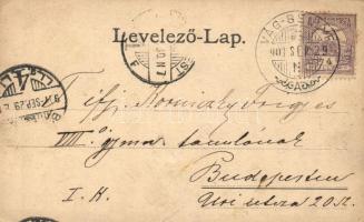 Farkasd, Vágfarkasd; Templom, óvoda, városháza / church, kindergarten, town hall, floral