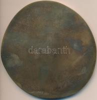 ~1960. Magyar Hajózási Részvénytársaság "MHRT Hűségért - Munkáért" Br plakett (85mm) erede...