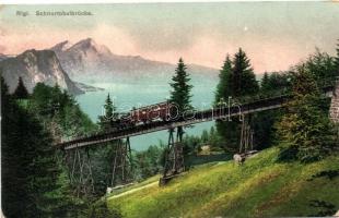 Rigi, Schnurtobelbrücke / funicular, bridge (small tear)