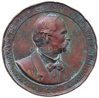 Ausztria 1877. "Dr. Caietanus Felder" Br plakett. Szign.: Anton Scharff (92,11g/64mm) T:2- ph. Austria 1877. "DR CAIETANVS FELDER CONSVL CIVITATIS VINDOBONAE / CVRA PVBLICA ET SCIENTIA CLARVS" Br plaque. Sign.: Anton Scharff (92,11g/64mm) C:VF edge error