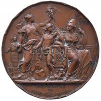 Ausztria 1877. "Dr. Caietanus Felder" Br plakett. Szign.: Anton Scharff (92,11g/64mm) T:2-...