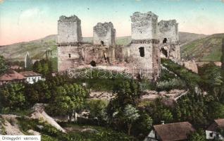 Miskolc, Diósgyőri várrom