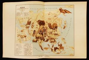 1928 Állatföldrajzi atlasz, tervezte Baloghné Hajós Terézia, rajzolta: Bálint János, Magyar Királyi ...