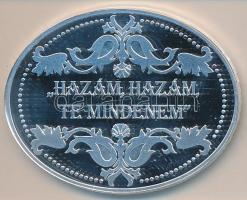 DN. "Lánchíd / Széchenyi István" ovális ezüstözött rézötvözet a "Hazám, hazám, te min...