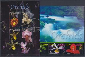 Orchideák kisív pár, Orchids minisheet pair