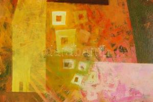 Pelles Róbert (1955-): Halászfalu. Olaj, vászon, jelzett, tanúsítvánnyal, 60×60 cm