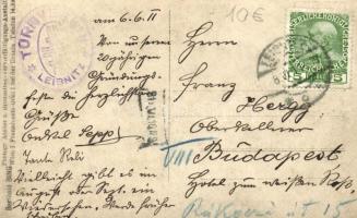 1911 Leibnitz, Turnverein, photo