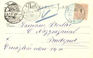 Zayugróc, Botgyár, üveggyár, Karolinavölgy; kiadja Gansel Lipót / factories, floral