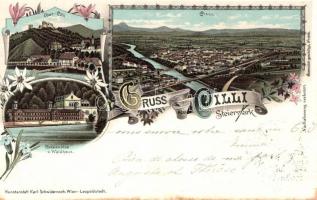 1898 Celje, Cilli; Badeanstalt, Waldhaus / spa, floral Art Nouveau litho