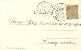 Félixfürdő, floral; kiadja Rosenbaum Ignácz