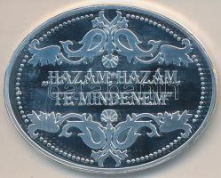 DN. "Pannonhalmi Bencés Főapátság / Géza fejedelem" ovális ezüstözött rézötvözet a "H...