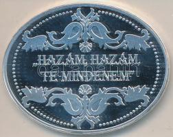 DN. "Mátyás-templom / Mátyás király" ovális ezüstözött rézötvözet a "Hazám, hazám, te...
