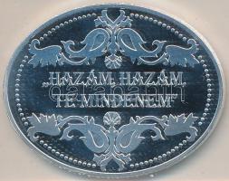 DN. "Győri Nagyboldogasszony Székesegyház, Bazilika / I. Szent László" ovális ezüstözött r...