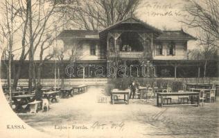 Kassa, Lajos forrás, László Béla kiadása / source