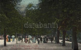 Trencsénteplic, Nagy zenesétány, Wertheim Zsigmond kiadása / promenade