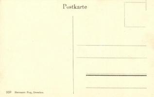 Litomerice, Leitmeritz; Bischöfliche Residenz und Domkirche, Dampfer Pillnitz / episcopal residence,...