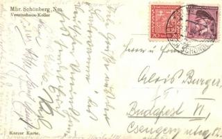 Sumperk, Mährisch Schönberg; Vereinshaus-Keller / community club cellar