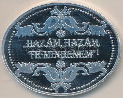 DN. "Debreceni Református Kollégium / Csokonai Vitéz Mihály" ovális ezüstözött rézötvözet ...